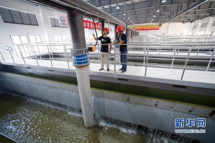 （環(huán)境）（4）福州洋里污水廠完成一二三期提標(biāo)改造通水試運(yùn)行