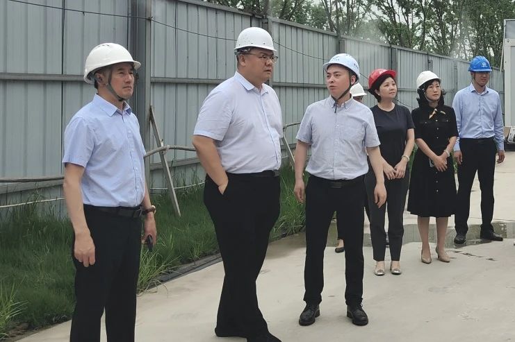 1752565119789950.jpg 成都市新津區(qū)副區(qū)長李明到成都區(qū)域項目檢查指導(dǎo)工作.jpg